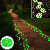 300 Pedras Luminosas para Jardim/Aquário - Lojas Promorin