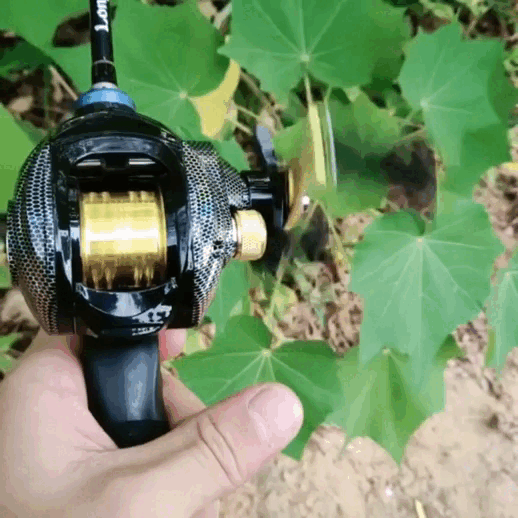 Carretilha Shimano 10 Kg de arrasto 7:2.1 + Brinde Exclusivo