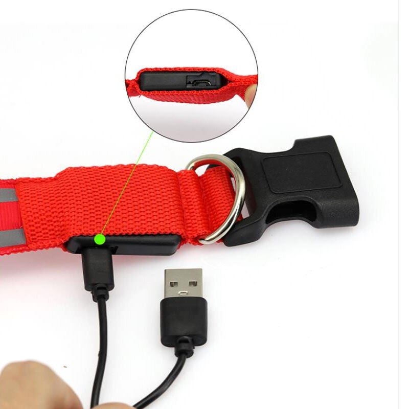 Coleira Luminosa LightAnimal™