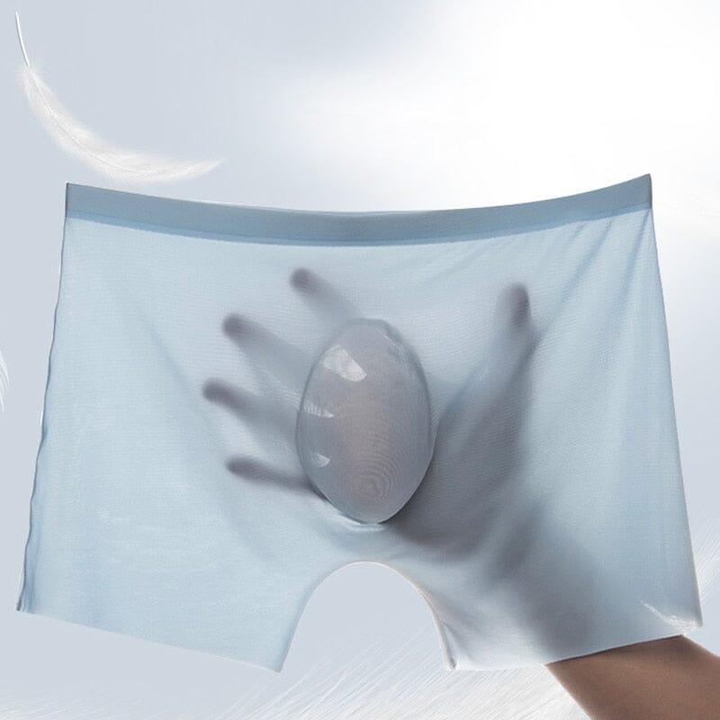 Kit Com 10 Cuecas Boxers Antiodor e Antibacterianas em Seda Gelo - Lojas Promorin