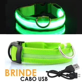 Coleira Luminosa LightAnimal™