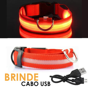 Coleira Luminosa LightAnimal™
