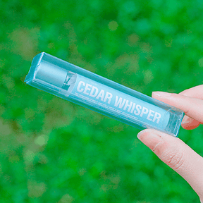 Perfume Afrodisíaco Feminino Importado Eau Parfum - La FleurDesìr - Lojas Promorin