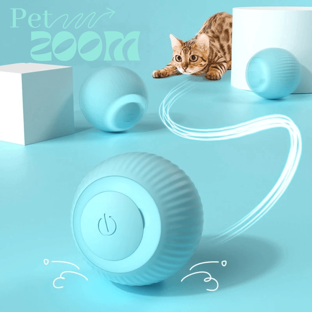 Pet ZOOM - Bolinha elétrica automática que se move sozinha, interativa, para Gatos e Cachorros Pequenos - Lojas Promorin