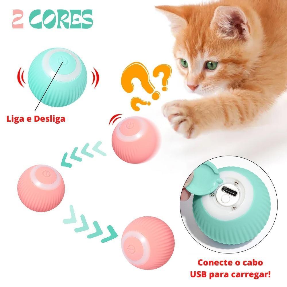 Pet ZOOM - Bolinha elétrica automática que se move sozinha, interativa, para Gatos e Cachorros Pequenos - Lojas Promorin