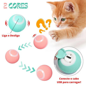 Pet ZOOM - Bolinha elétrica automática que se move sozinha, interativa, para Gatos e Cachorros Pequenos - Lojas Promorin