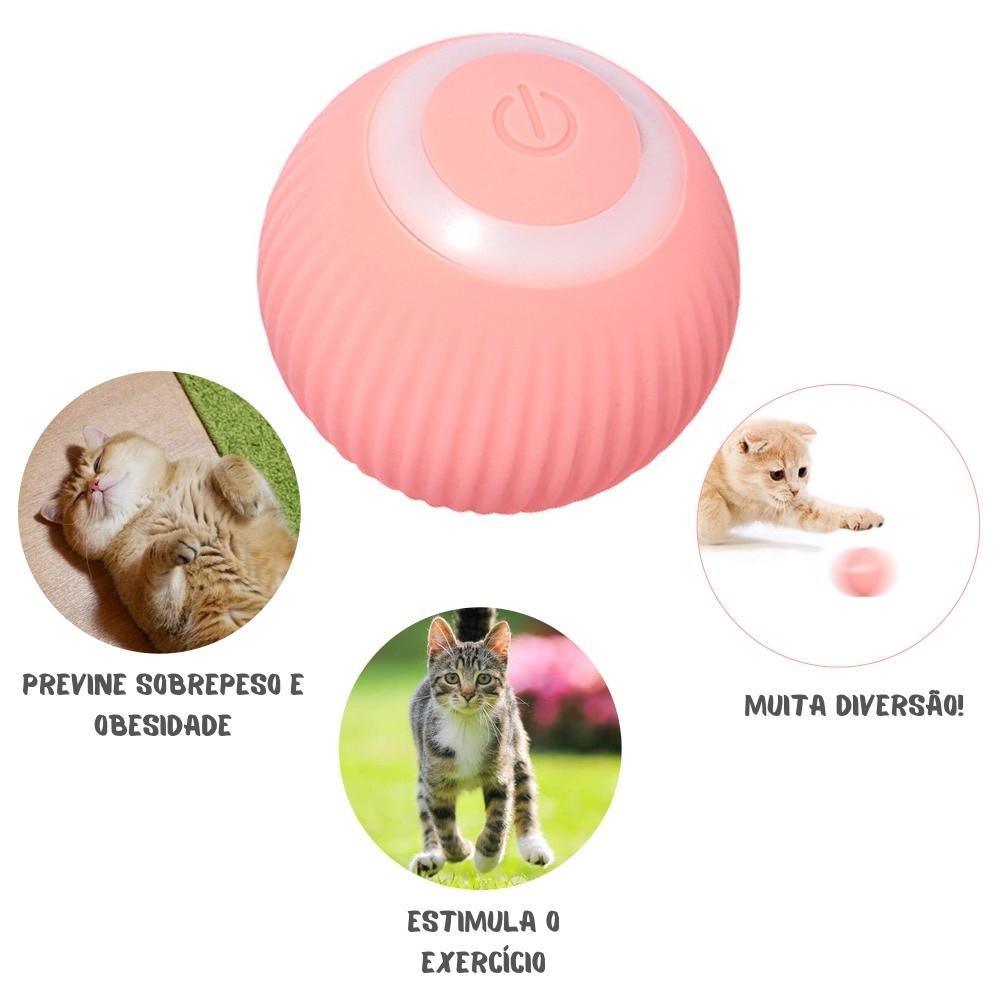 Pet ZOOM - Bolinha elétrica automática que se move sozinha, interativa, para Gatos e Cachorros Pequenos - Lojas Promorin